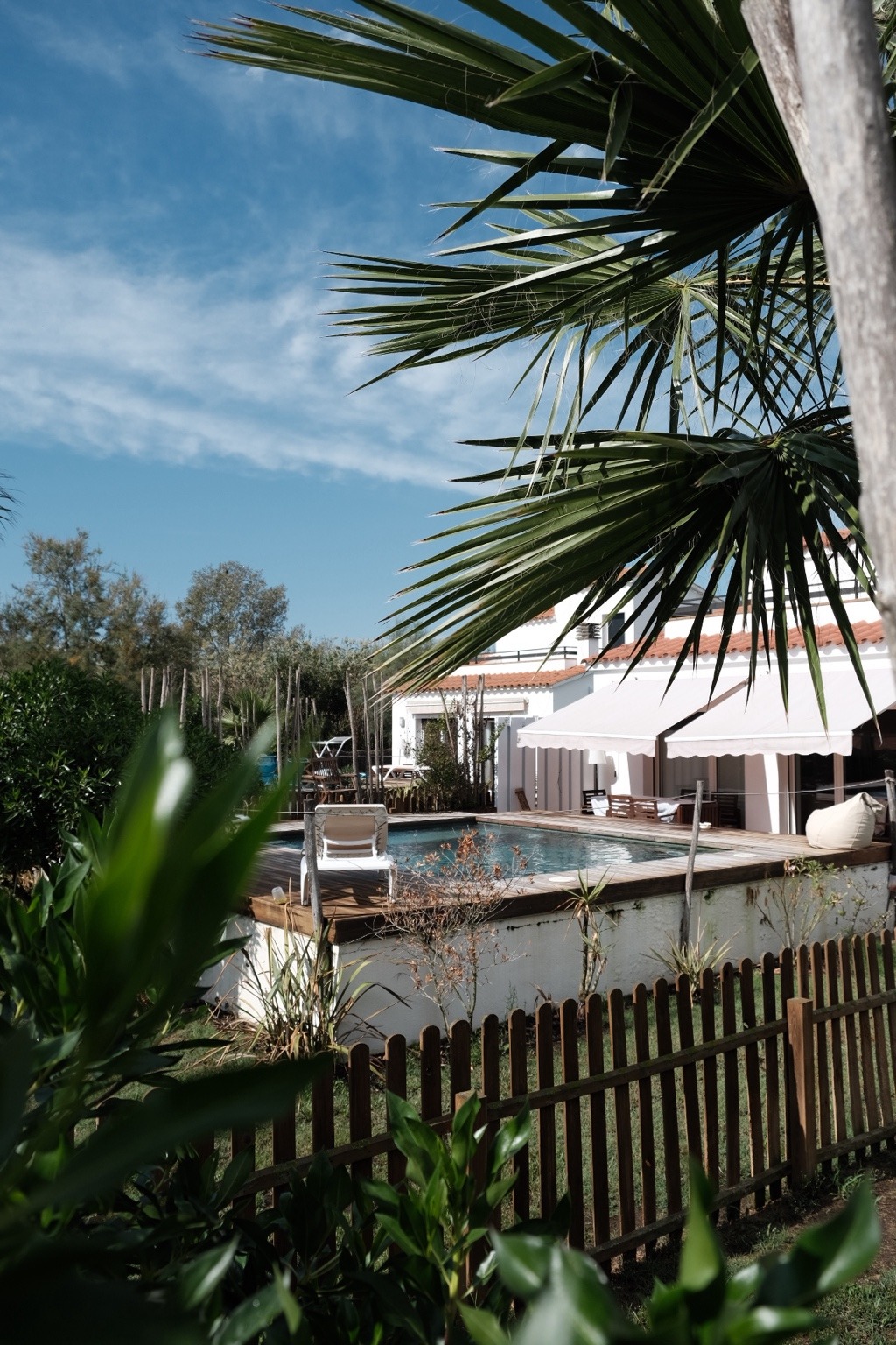 A villa terrace with sun loungers beside the pool, framed by a large palm and garden greenery under a clear sky.