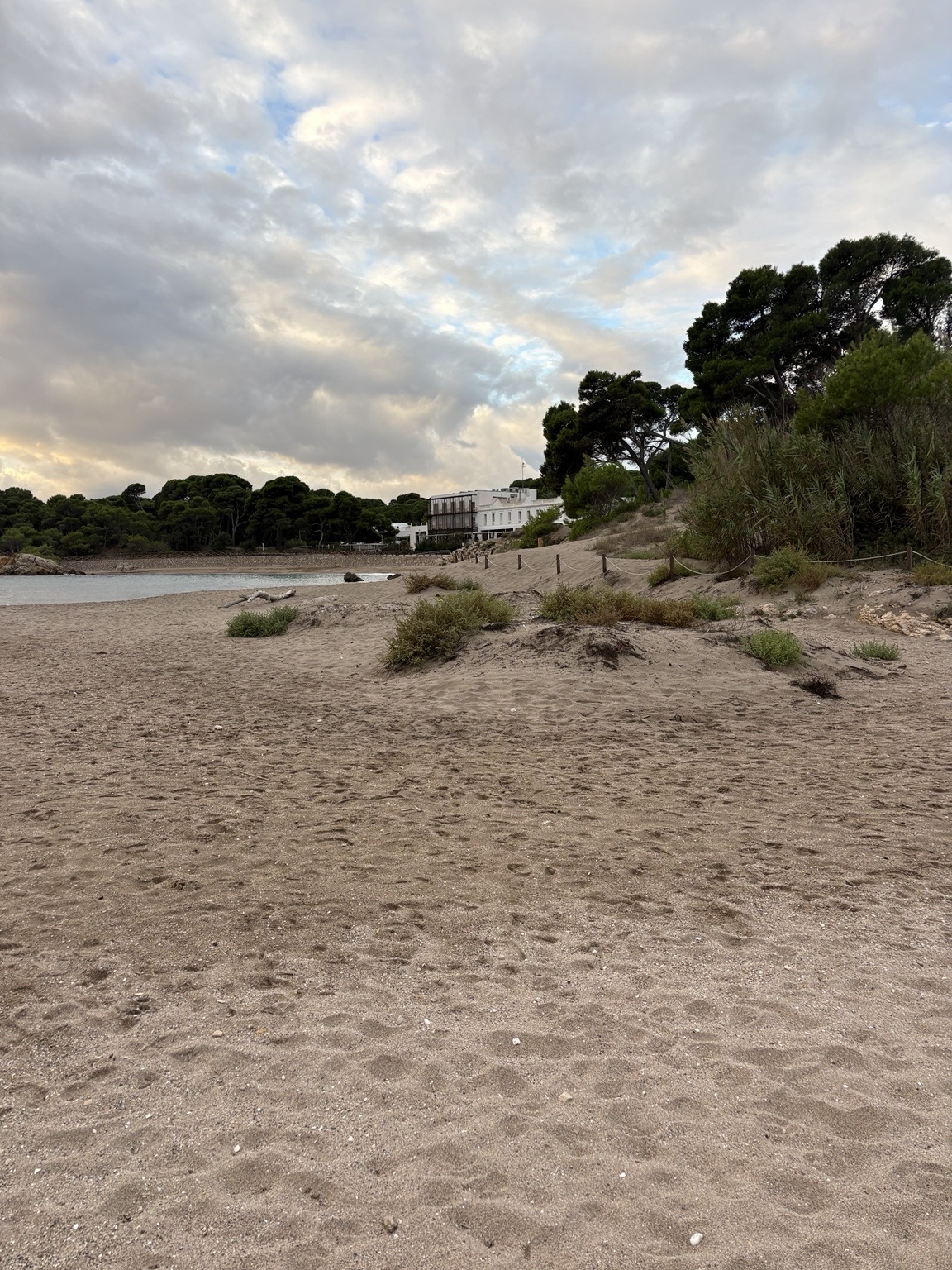 An empty sandy beach with low dune plants, looking toward the sea, pines and a white building under a soft evening sky.